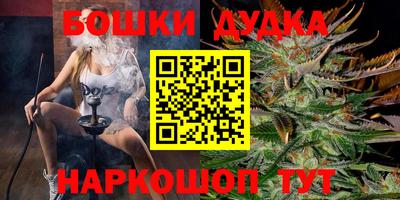 МДПВ Лесосибирск