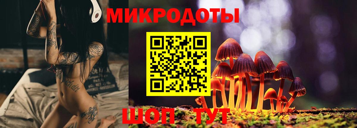 Советская Гавань  Галлюциногенные грибы прущие грибы  Вход с VPN 